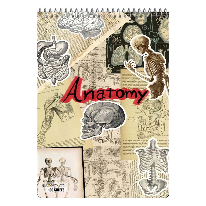 دفتر شطرنجی 100 برگ کارنیکا طرح زیست شناسی Biology کد 35135