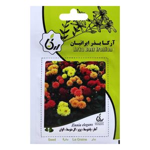 	 بذر آهار پامتوسط پرپر گل متوسط الوان آرکا بذر ایرانیان کد ARK-045