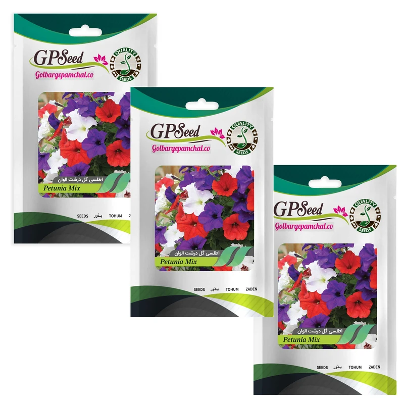 بذر گل اطلسی گل درشت پرگل الوان گلبرگ پامچال کد GPF-019 مجموعه 3 عددی