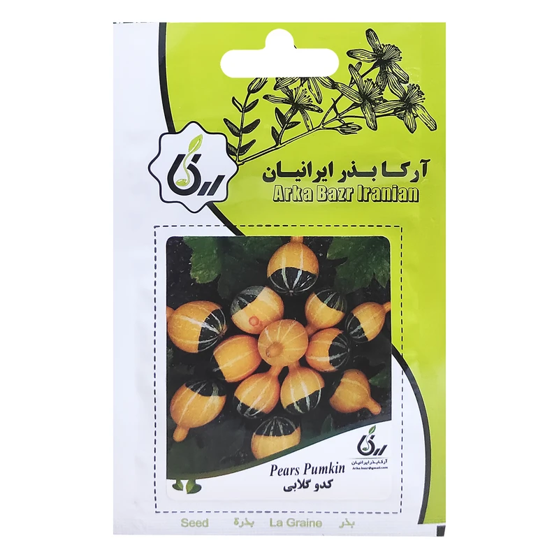 بذر کدو گلابی آرکا بذر ایرانیان کد ARK-169