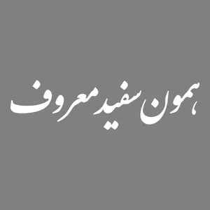 برچسب بدنه خودرو طرح همون سفید معروف کد MT-W446