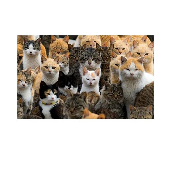   پادری مدل حیوانات کد HSHMA0043 سایز 76x46 سانتی متر