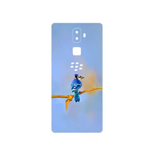 MAHOOT Cyanocitta cristata Cover Sticker for BlackBerry Evolve