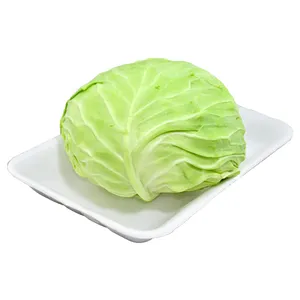 کلم سفید درجه یک - 1کیلوگرم