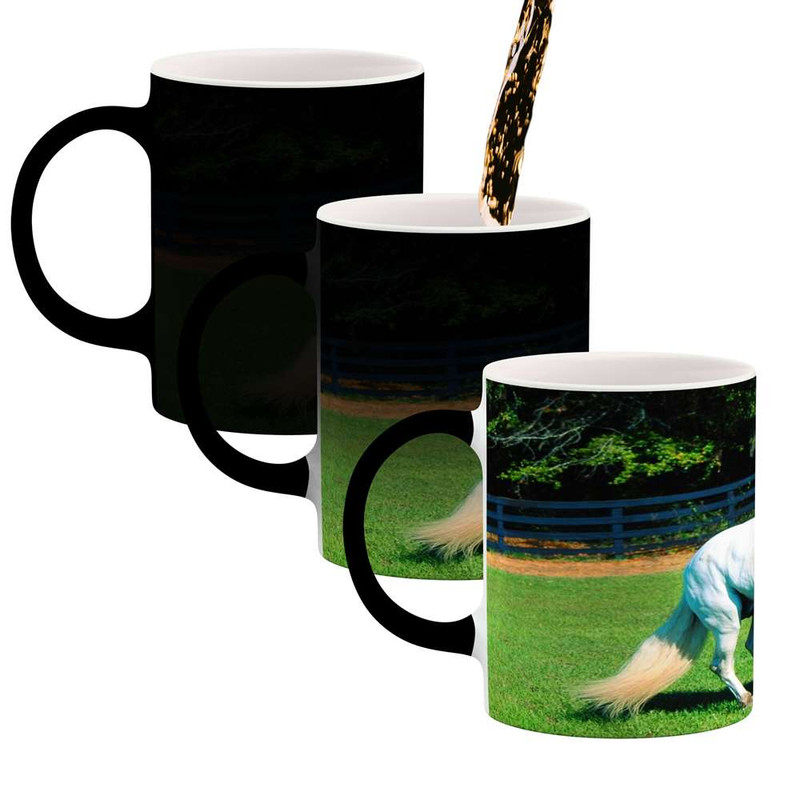 ماگ حرارتی کاکتی مدل اسب کد mgh24164