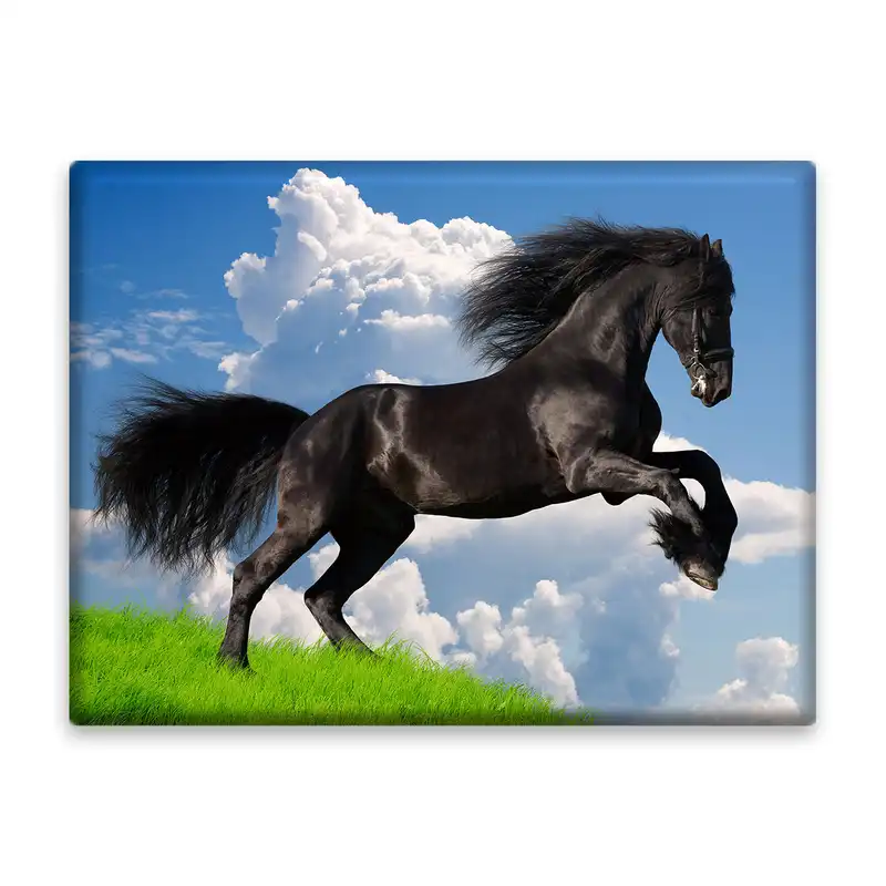 کاشی اطلس آبی طرح اسب و آسمان مدل T5839