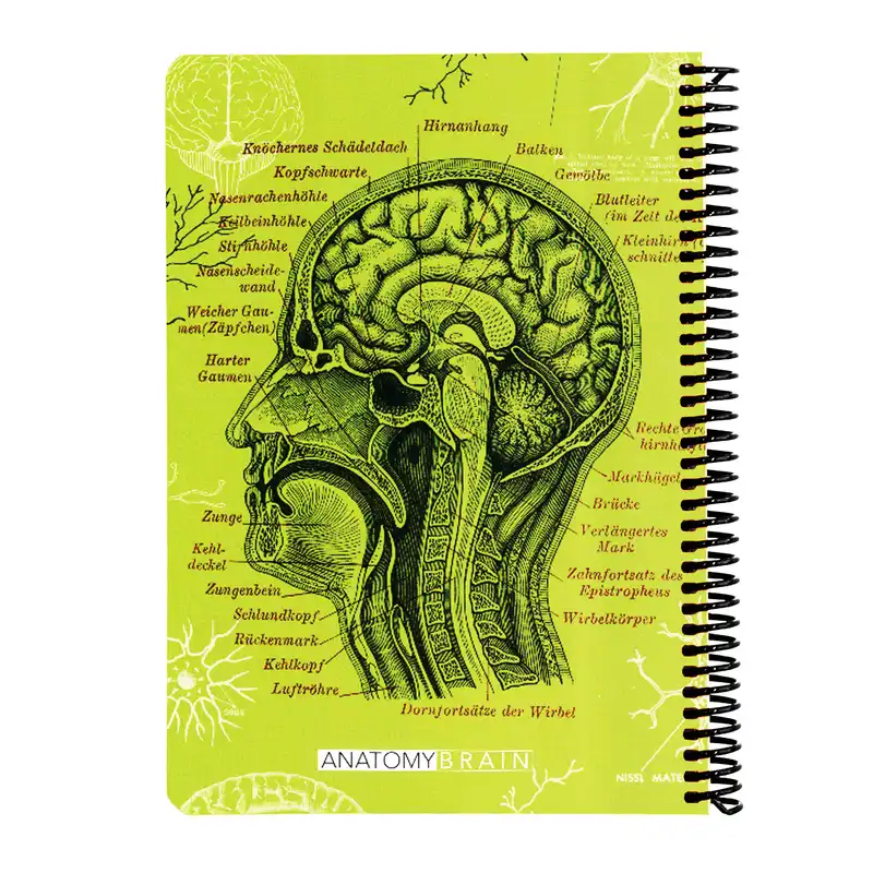 دفتر 100 برگ دات نوت طرح ANATOMY مدل BRAIN کد هاردB5