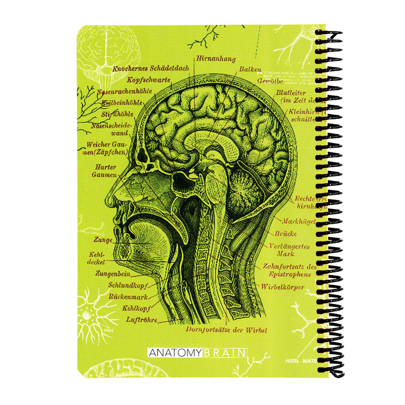 دفتر 100 برگ دات نوت طرح ANATOMY مدل BRAIN کد هاردB5