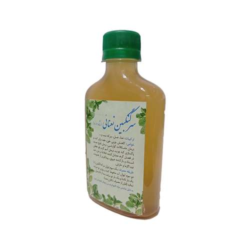 سرکه انگبین نعنایی -250 میلی لیتر