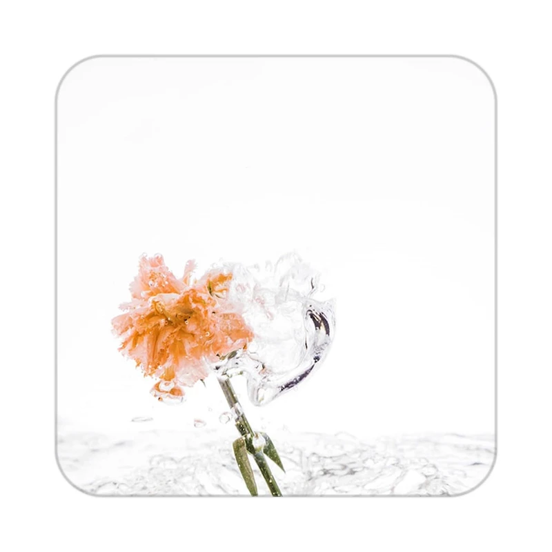 زیر لیوانی کاکتی طرح گل مدل mp18207