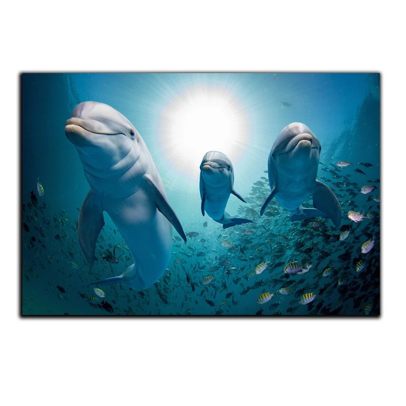 تابلو شاسی بکلیت طرح اقیانوس و دلفین مدل SH-S579