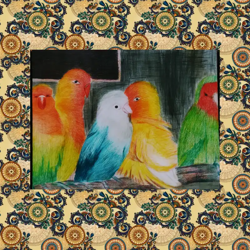 نقاشی مدادرنگی مدل اشیانه