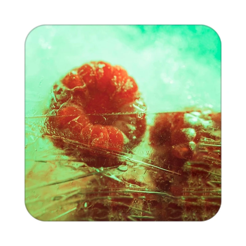 زیر لیوانی کاکتی طرح میوه مدل mp20948