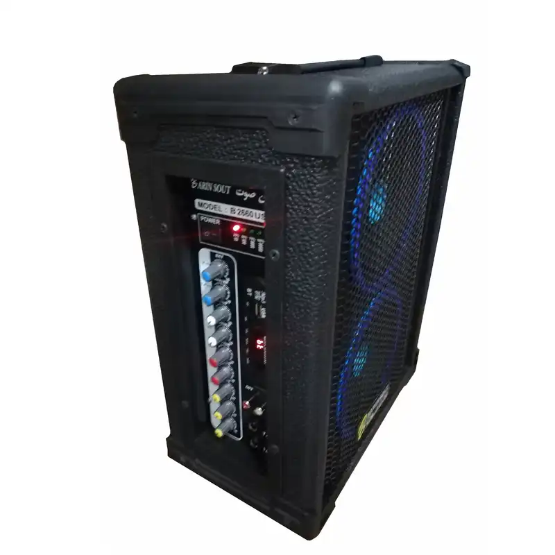 اکو پرتابل برین صوت مدل 2660W به همراه میکروفن بی سیم