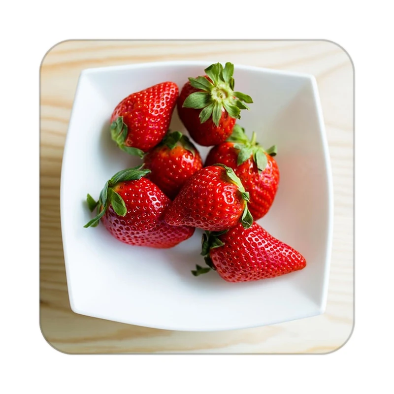 زیر لیوانی کاکتی طرح میوه مدل mp21961