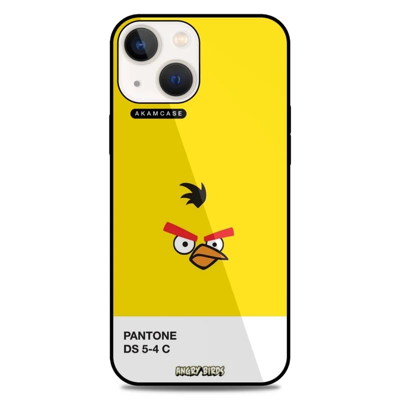 کاور آکام مدل AMC-WA13-ANGRY BIRDS14 مناسب برای گوشی موبایل اپل iPhone 13