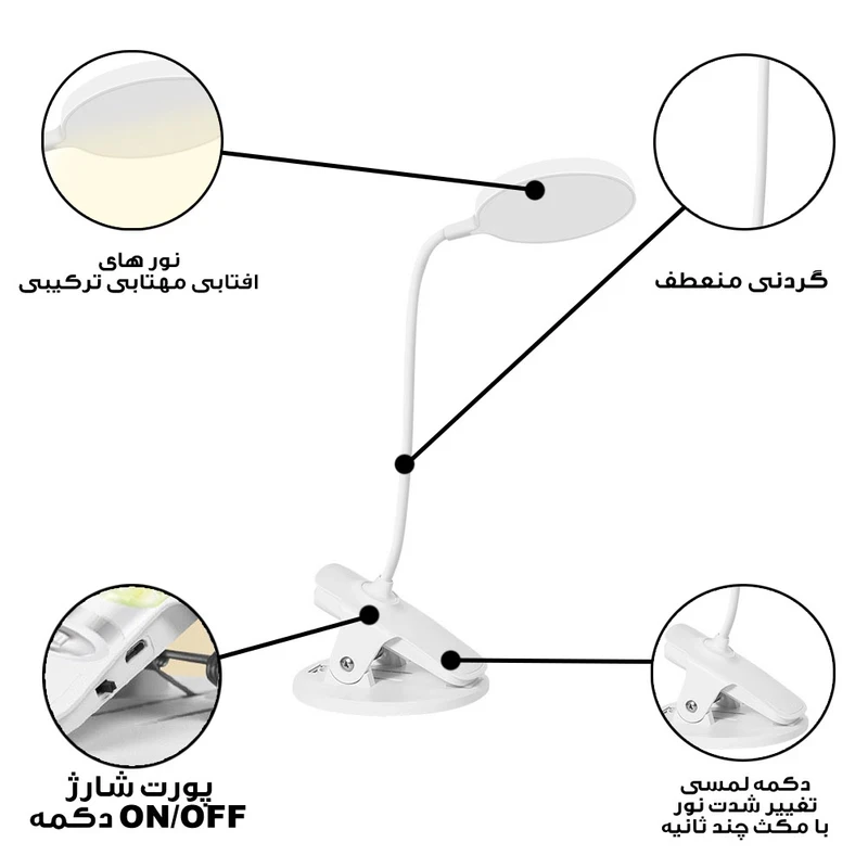 عکس شماره 4