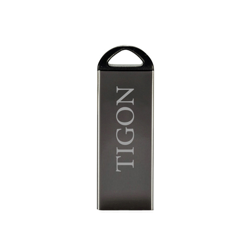 فلش مموری تایگون مدل P220 ظرفیت 4 گیگابایت USB 2.0