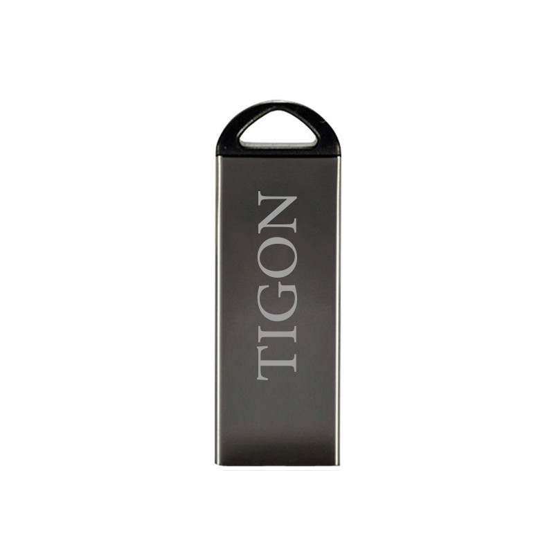 فلش مموری تایگون مدل P220 ظرفیت 4 گیگابایت USB 2.0