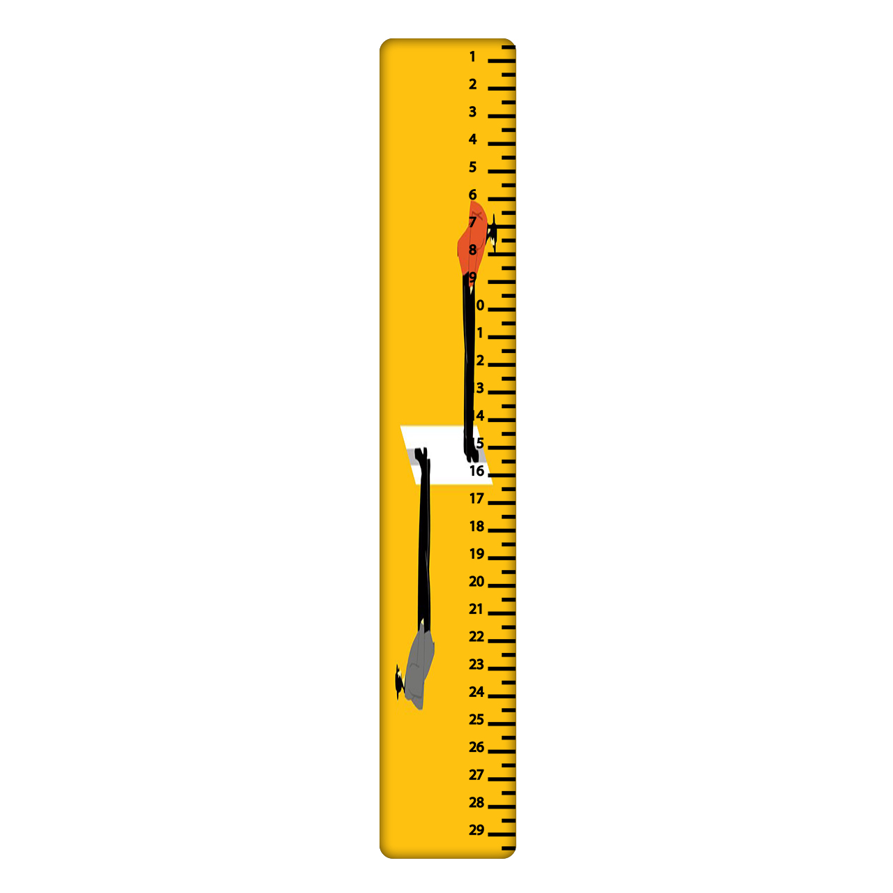 خط کش 30 سانتی متر طرح مرد کد 785