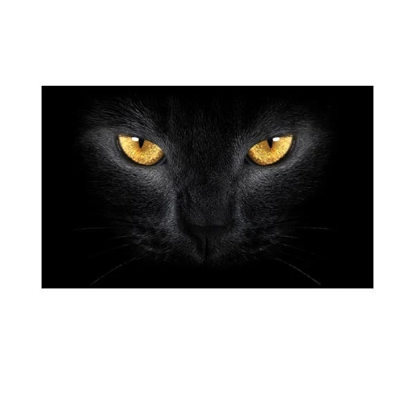   پادری مدل حیوانات کد HSHMA0040 سایز 76x46 سانتی متر