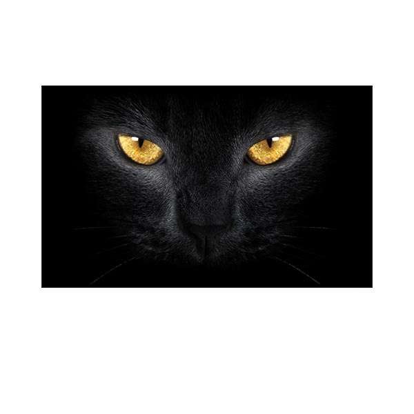 پادری مدل حیوانات کد HSHMA0040 سایز 76x46 سانتی متر