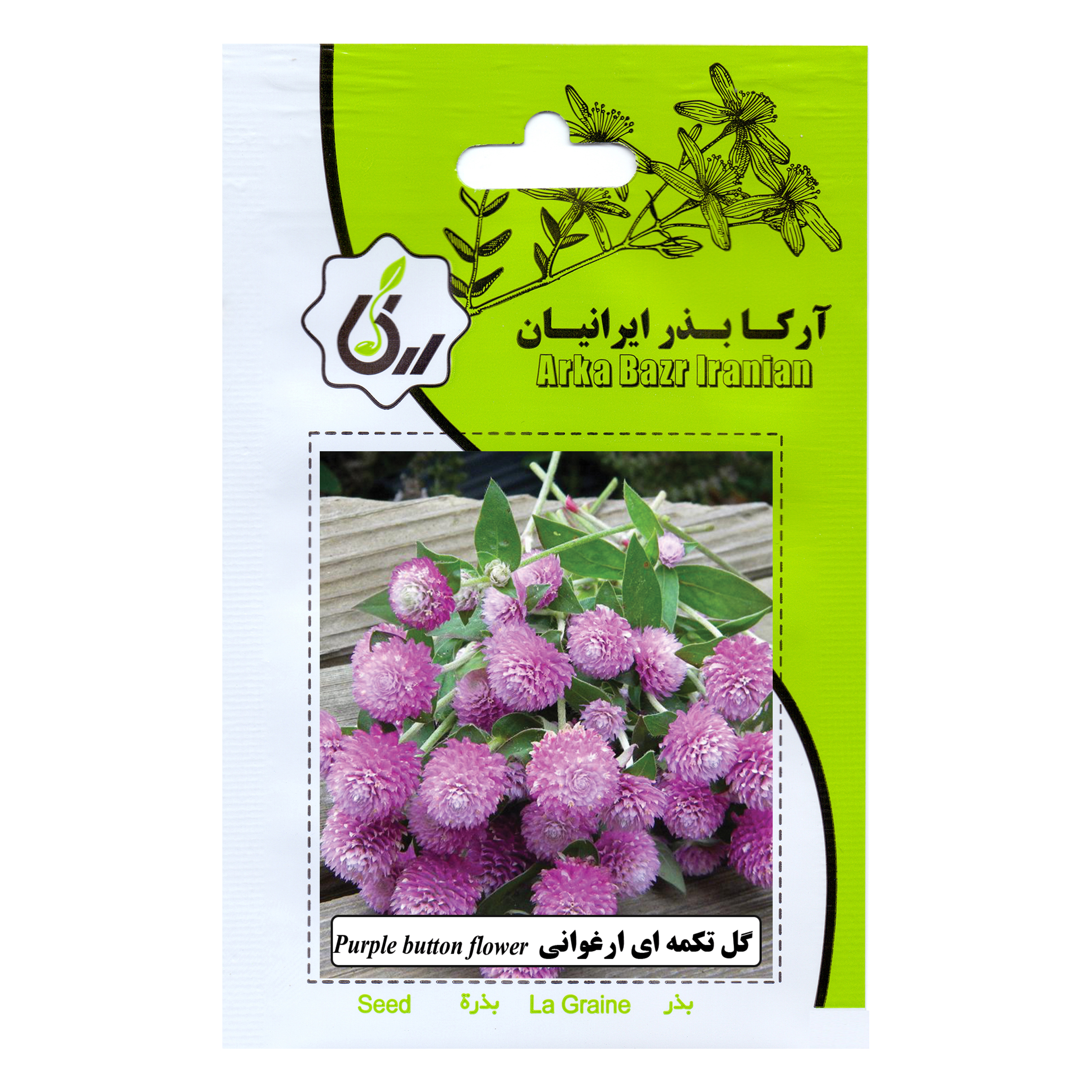 بذر گل تکمه ای ارغوانی آرکا بذر ایرانیان کد 78-ARK