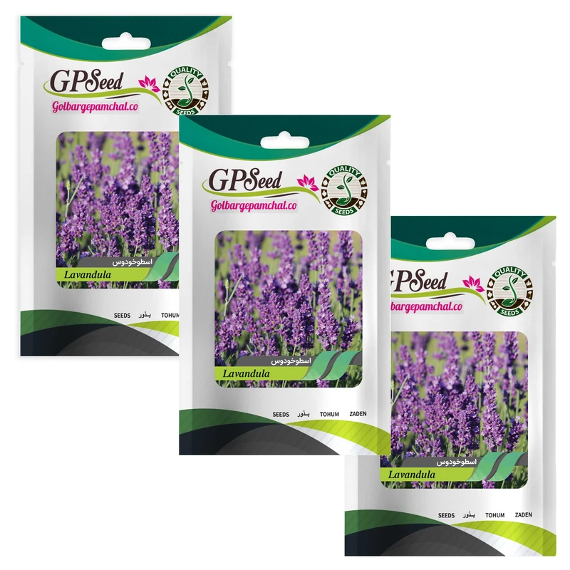 بذر گیاه دارویی اسطوخودوس گلبرگ پامچال کد GPF-212 مجموعه 3 عددی