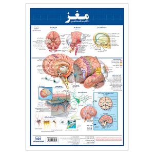 نقد و بررسی پوستر آموزشی انتشارات اندیشه کهن مدل کالبدشناسی مغز کد 35-50-2 توسط خریداران