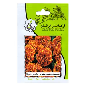 بذر جعفری مینیاتوری قرمز مایل به قهوه ای بذر ایرانیان مدل C61
