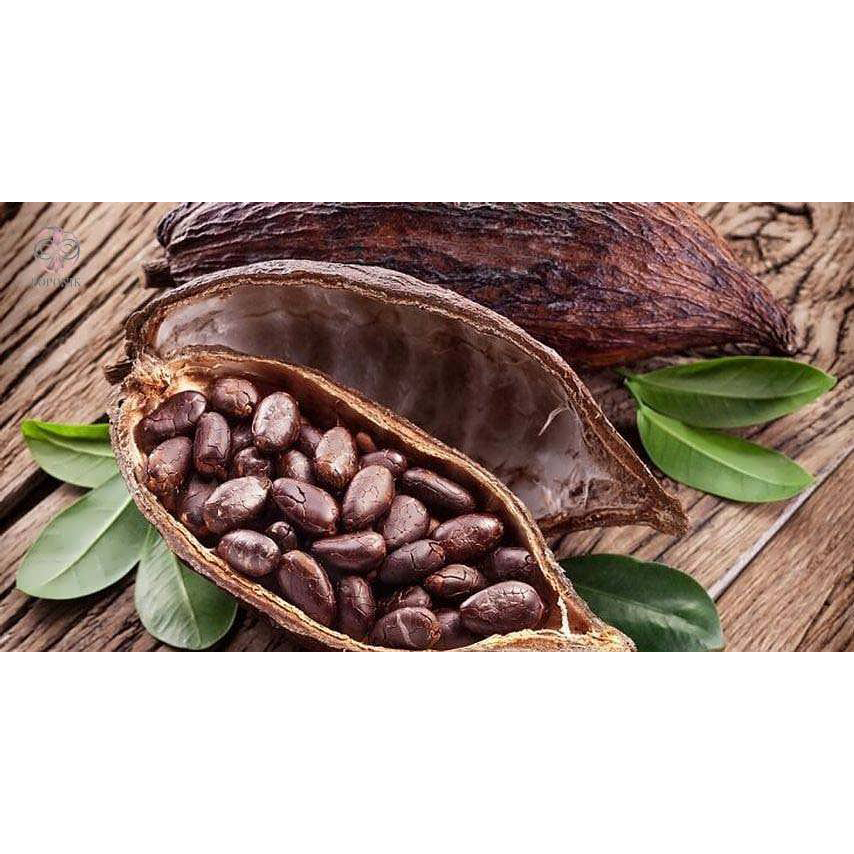 شکلات دست ساز ریل وگان پونا - 165 گرم