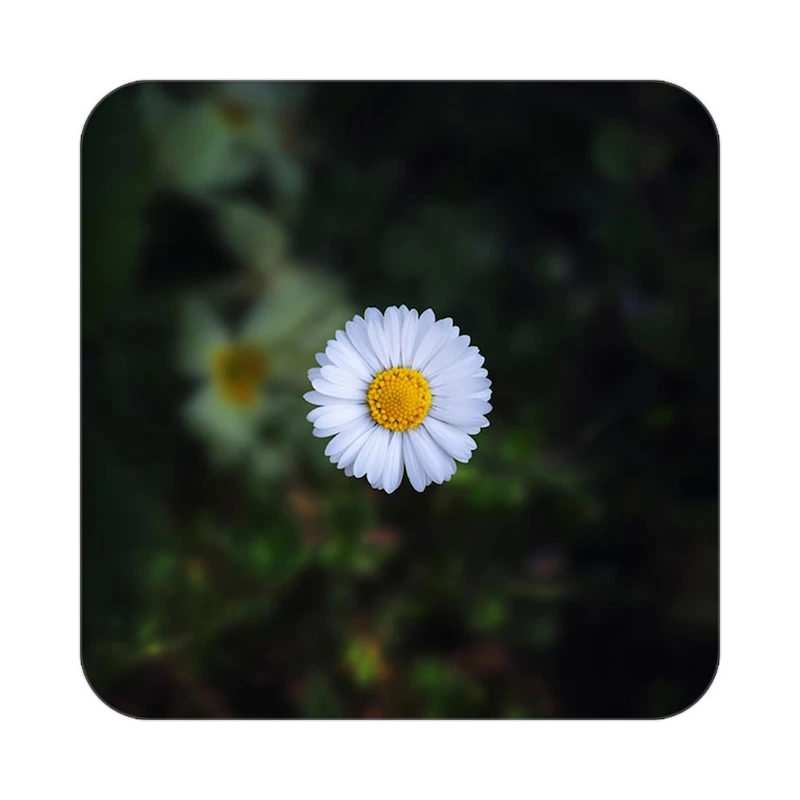 زیر لیوانی کاکتی طرح گل مدل mp16816