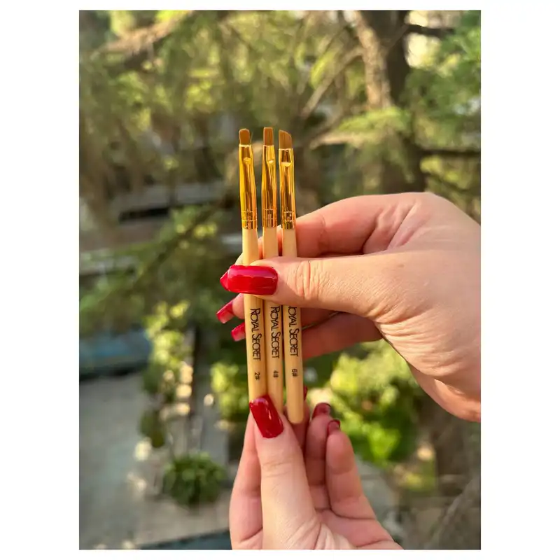 برس سایه رویال سکرت مدل DTS-2-4-6 مجموعه 3 عددی