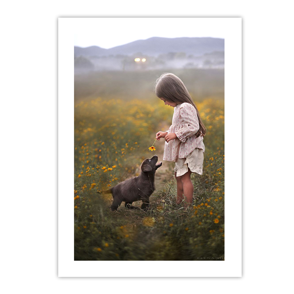 کارت پستال مدل دختر و سگ