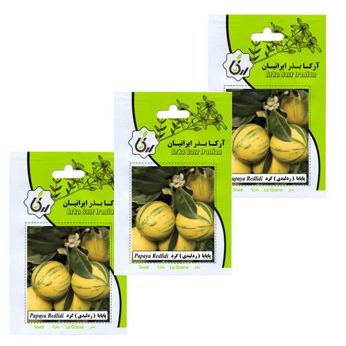 بذر میوه پاپایا ردلیدی گرد آرکا بذر ایرانیان کد 35-ARK مجموعه 3 عددی