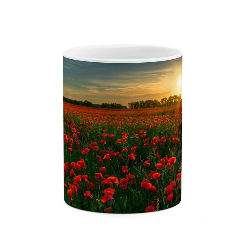 ماگ کاکتی مدل گل کد mgh11980