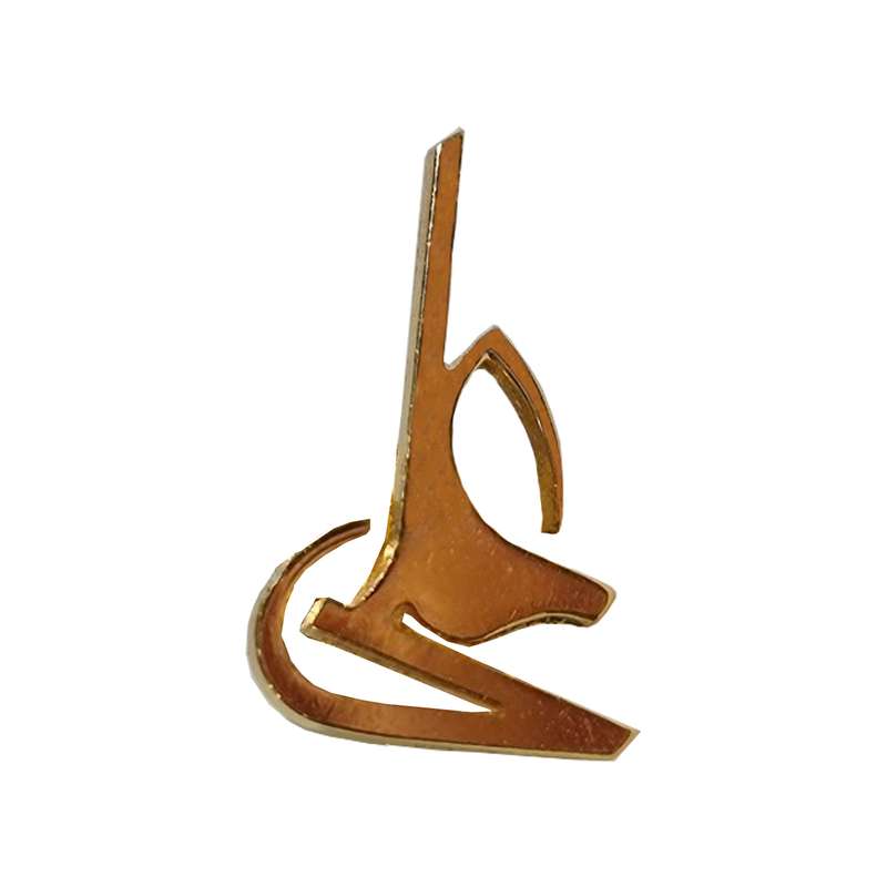 سنجاق سینه زنانه مدل علی سنجاق سینه زنانه مدل علی