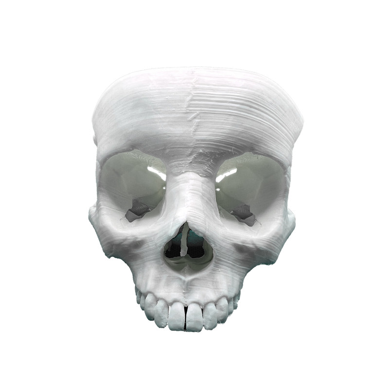 بازی آموزشی مدل جمجمه 3 تکه