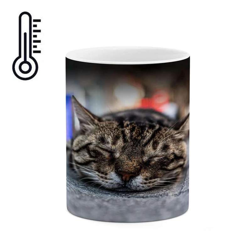 ماگ حرارتی کاکتی مدل گربه کد mgh16021