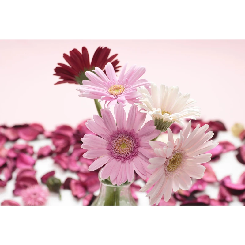 تابلو شاسی طرح گل مدل T6786