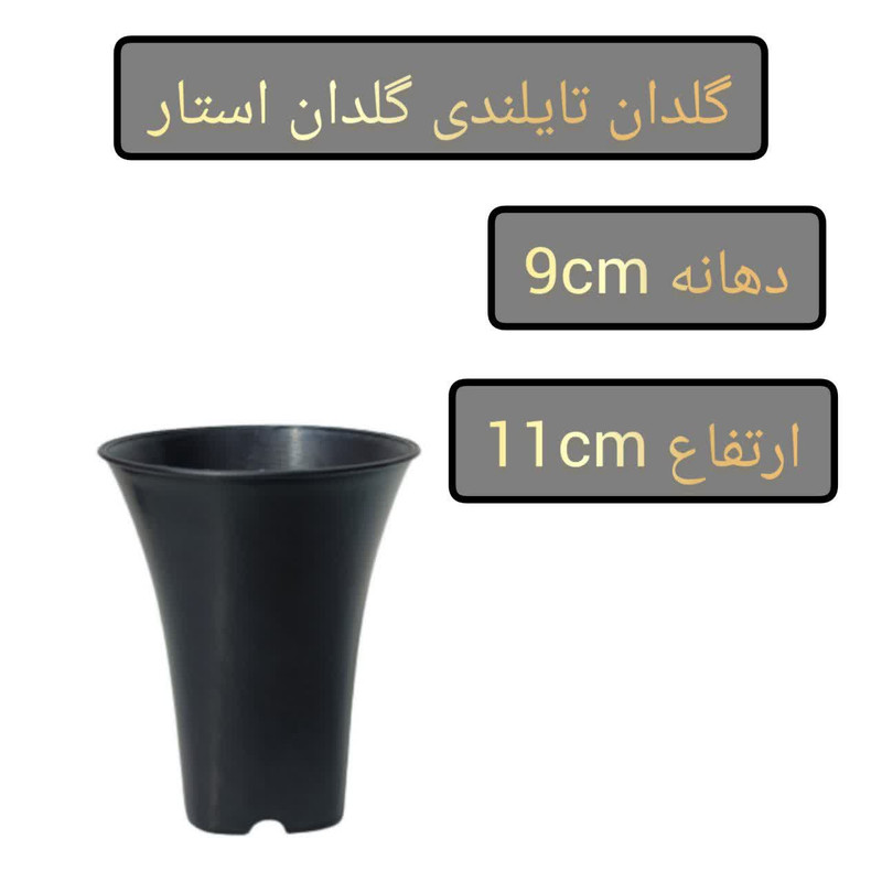 گلدان مدل 9cm بسته 6 عددی