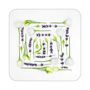 زیر لیوانی کاکتی طرح گل مدل mp17628