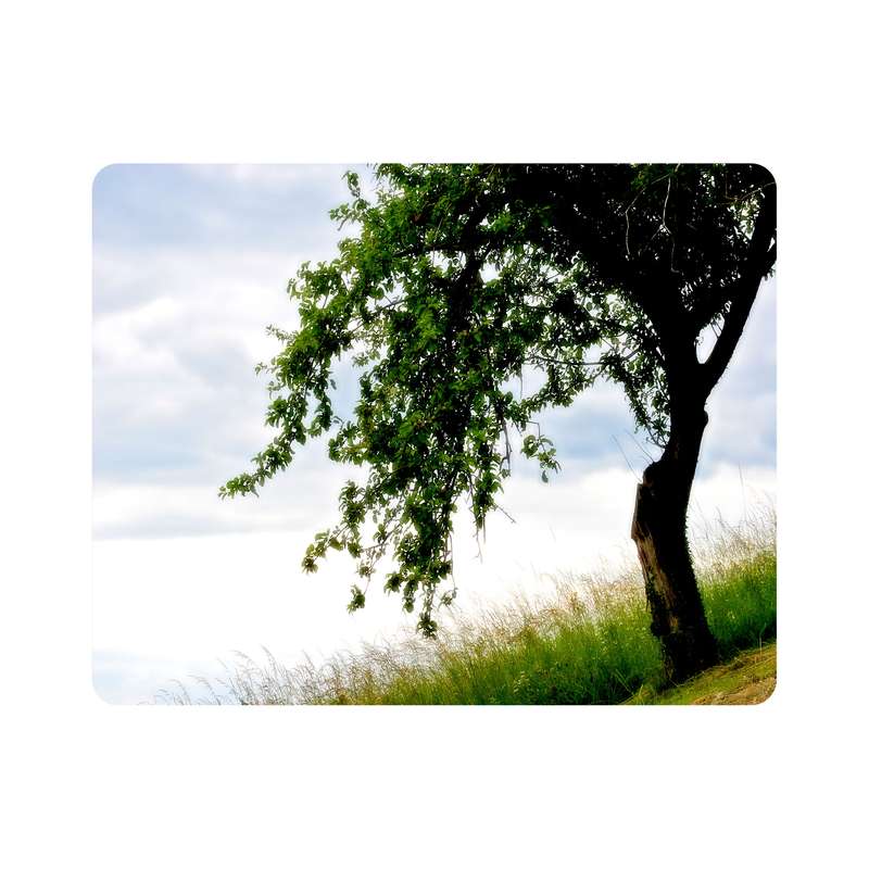 ماوس پد اطلس آبی طرح درخت و آسمان و سبزه مدل T7070