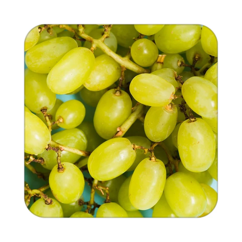 زیر لیوانی کاکتی طرح میوه مدل mp22224