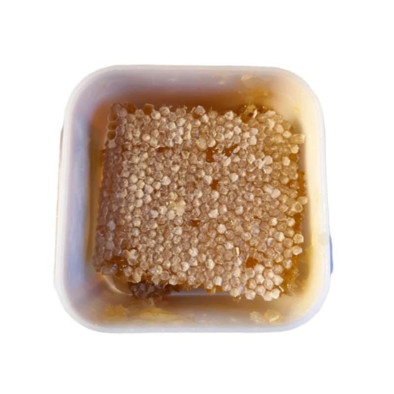 عسل آویشن گون موم دار شهر طبیعت - 500 گرم