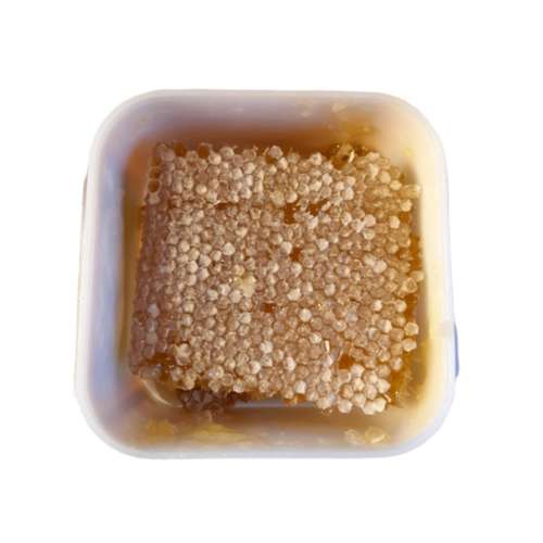 عسل آویشن گون موم دار شهر طبیعت - 500 گرم