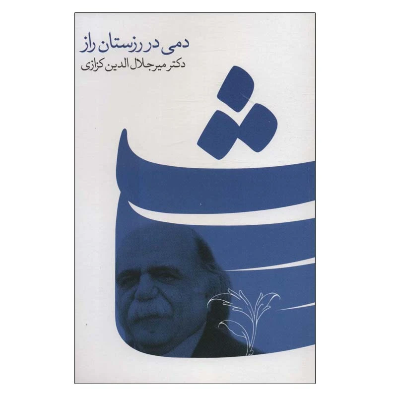 کتاب دمی در رزستان راز اثر میرجلال الدین کزازی انتشارات گویا