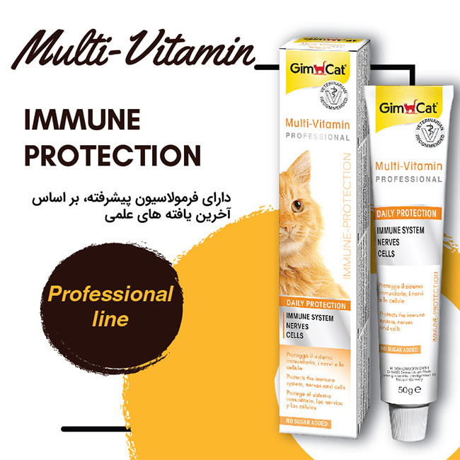 خمیر مولتی ویتامین گربه جیم کت مدل PASTE-Professional وزن 50 گرم