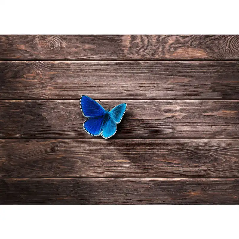 پوستر دیواری طرح پروانه و چوب کد pl149