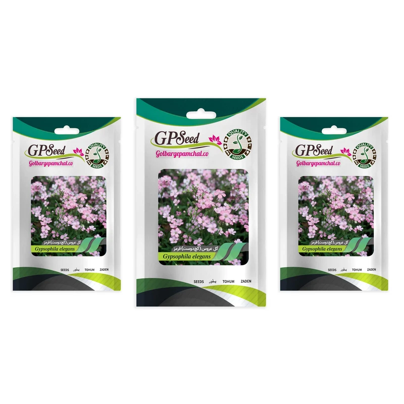 بذر گل عروس گچ دوست قرمز گلبرگ پامچال کد GPF-345 مجموعه 3 عددی